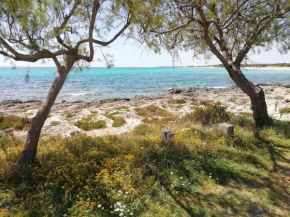 Punta Grossa - Porto Cesareo